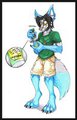 Furshine - part 1