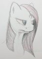 Pinka Doodle