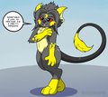 True Facts Raichu