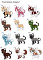 FREE KITTEN ADOPTS! CLOSED by TheLittleShapeshifter