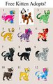 FREE KITTEN ADOPTS 2 CLOSED