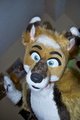 Close up by dasos