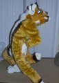 My Suit 