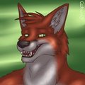 Character Profile: Jason Werefox