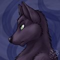 Character Profile: Drake Werewolf