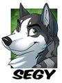 Badge by Rarakie