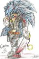 Comander S for Dany-Kun