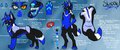Shadow Sidorov Reff Sheet