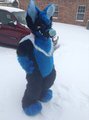 Majestic ice demon