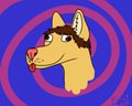 Nick Derp