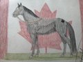 Happy 157yrs Canada