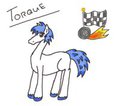 Torque