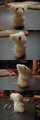 Tiny felt rodent 
