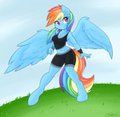Commission: Anthro Rainbow Dash