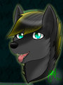 Commission - Husky HeadShot