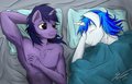 WinterNight by skunkman22