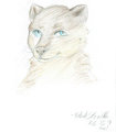 Tagg Colored Sketch By BleakSteadtler by CGIbeast
