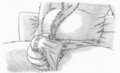 #31 Aslan bulge commission by kero957