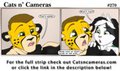 Cats n Cameras Strip #270 - Sudden lens flair by cheetahjab