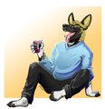 6 years of furry by dariusdetra