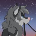 Leashed Up 