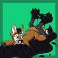 Warm Up - Tarpaw