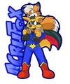 MFM2011/AC2011 Conbage By Roarey Raccoon