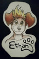 Ethan Badge