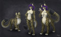 Updated semi-reference of Feligris - art by Punisa by Feligris
