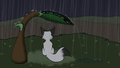 Rainy days