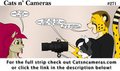 Cats n Cameras Strip #271 - I am impresive ! by cheetahjab