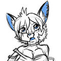 ddob practice