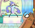 Knock the freakin door! by infectedraccoon