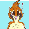 #16 Pidgey