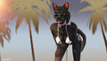 Bikini Kitty