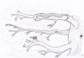 Hungry Snake