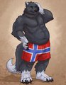 Kota of Norway by KotaBearclaw