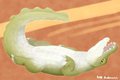 Such a Scaly White Belly by embermint
