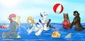"Beach fun!" by Kiathewolf27