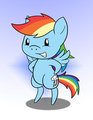 Dash Chib