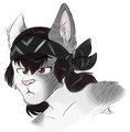cat Casey