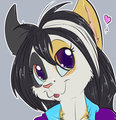 *C*_Chessa