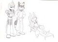 Skye's Vacation Interrupted