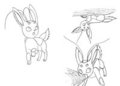 Bug eevee - Secteon