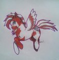 custom  by yangsama