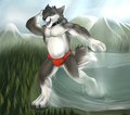 A Dip in the lake