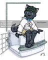 Jade artwork - Does he travel in that and why is he smiling ?? by wolfspawn