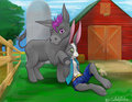 Friendship Farm