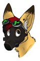 Lawl :P by OllieFoxXx