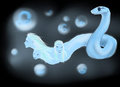 Snakeusa by Damaiuo